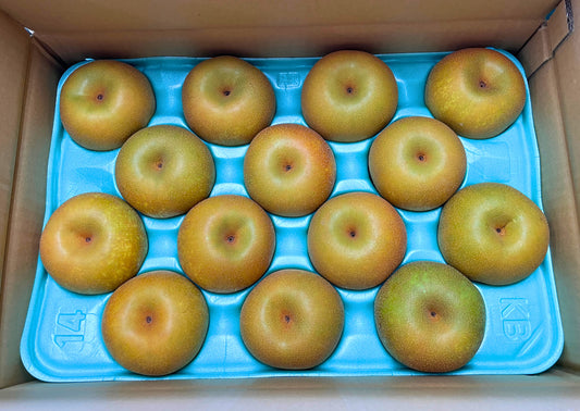 【幸水】3kg サイズおまかせ