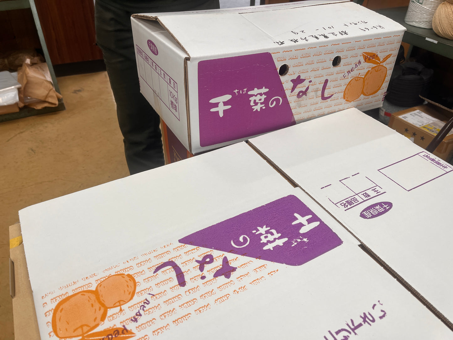 【幸水】家庭用3kg サイズおまかせ